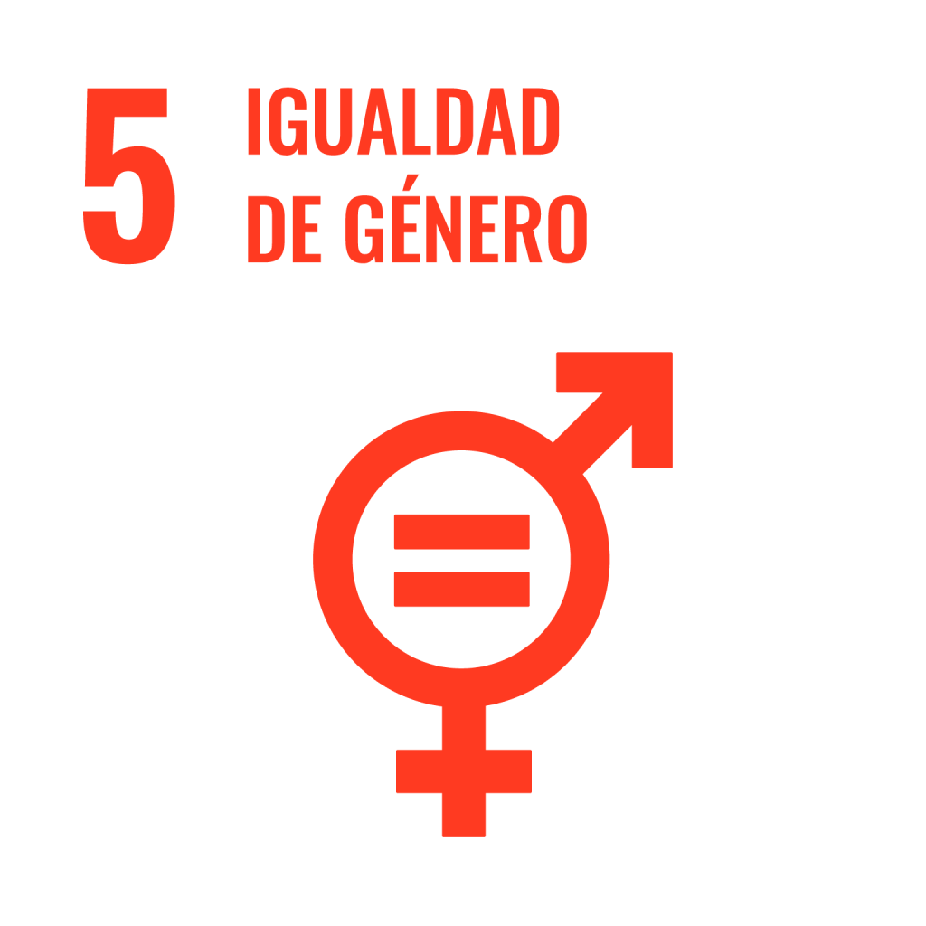 icono 5 igualdad de género